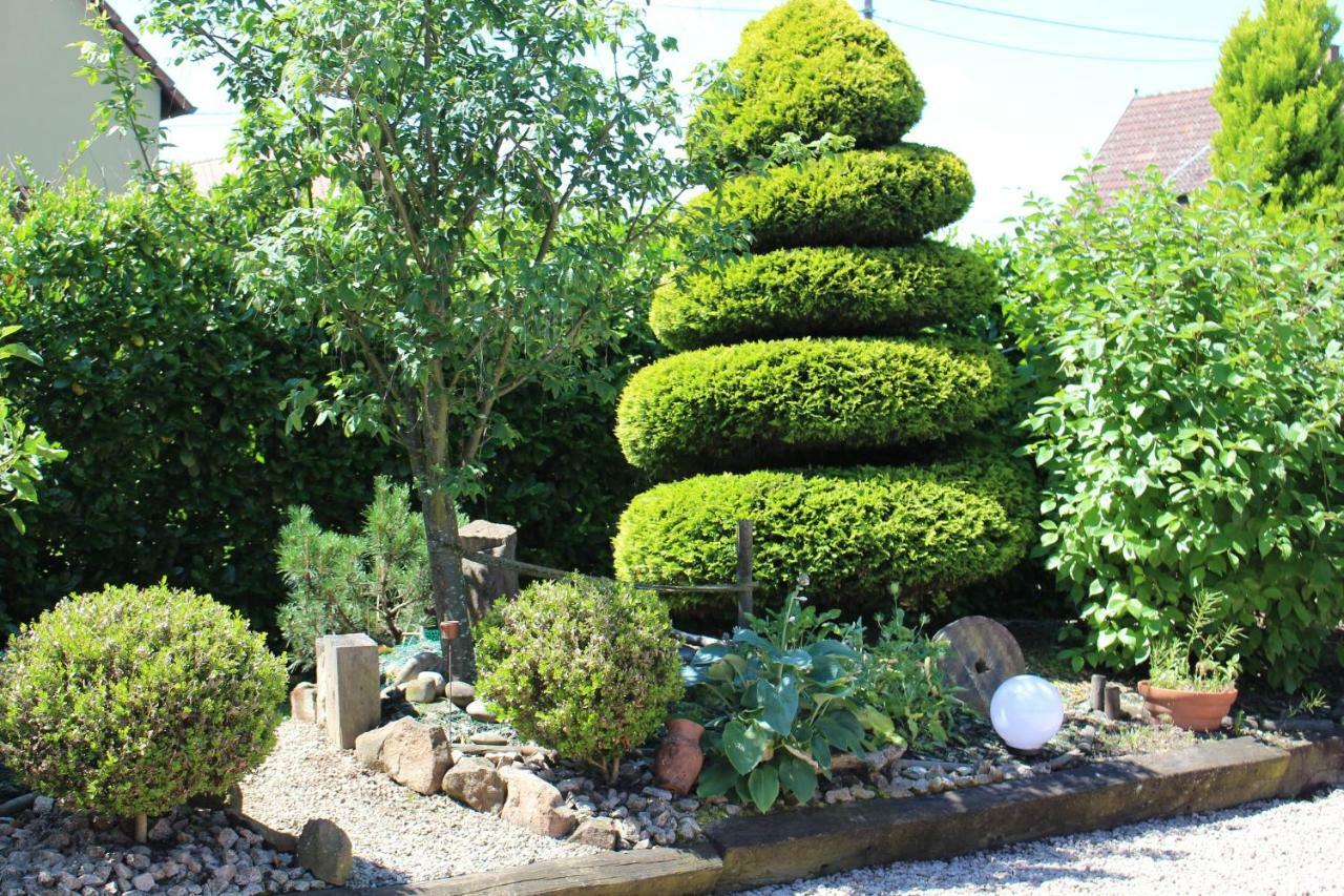 Gite Au Centre De L'Alsace Scherwiller Exterior foto