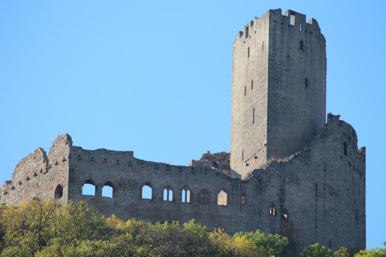 Gite Au Centre De L'Alsace Scherwiller Exterior foto