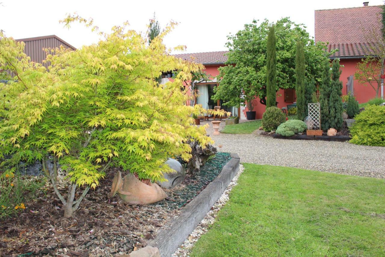 Gite Au Centre De L'Alsace Scherwiller Exterior foto